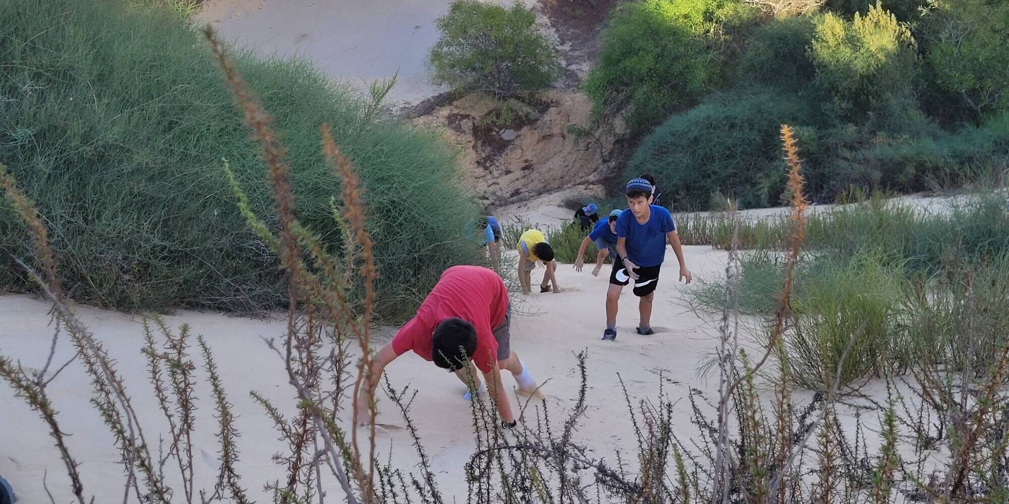 המשוטטים