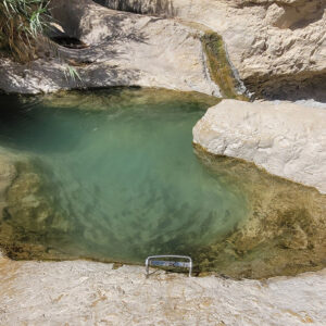 יעוץ בתכנון טיולים - ויהי מה