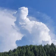 20240822_171307